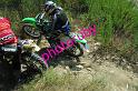 MOTO (101)